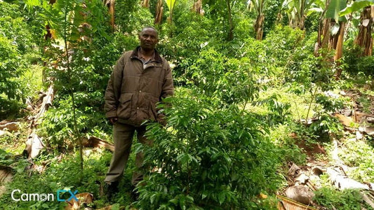 Ethiopian coffee farmer who supplies Yahava with Perth's best coffee.