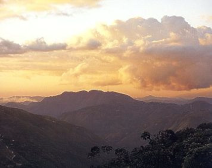 July Specialty Estate: Costa Rica Colibrà Tarrazú – Pure Elegance in the Cup