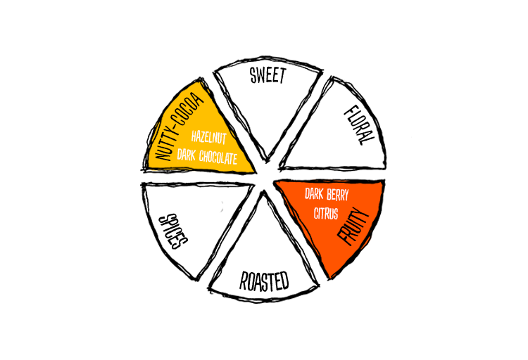 Single Origin India Coffee Flavour Profile - Nutty-Cocoa and Fruity