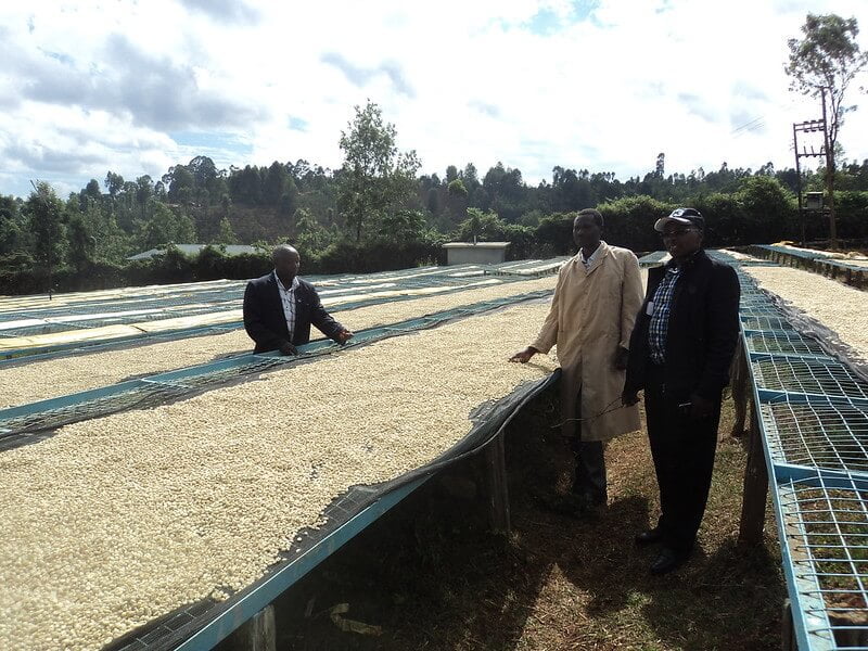 Farmers in Kenya who provide Yahava with their delicious coffee beans.
