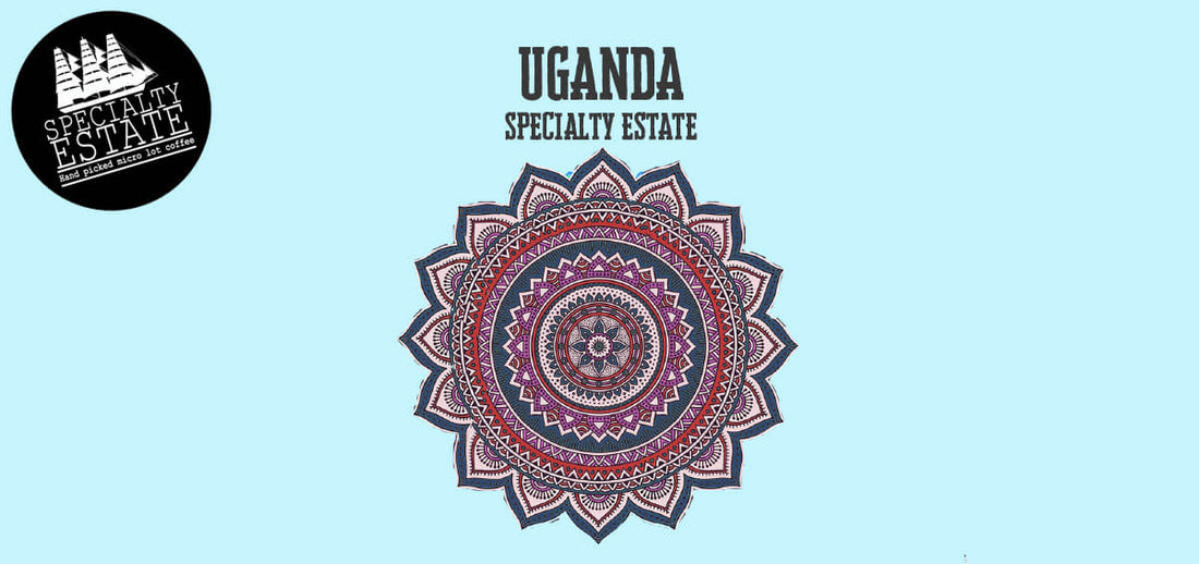 Shop Yahava's Uganda Specialty Estate coffee