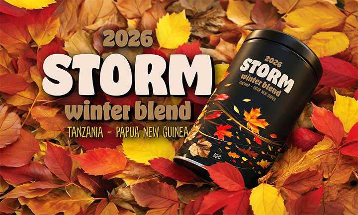 Storm 2026: Survive Winter in Style