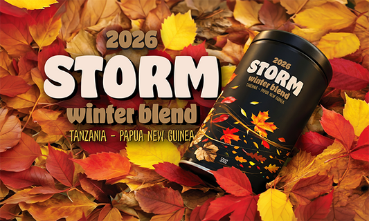 Storm 2026: Survive Winter in Style