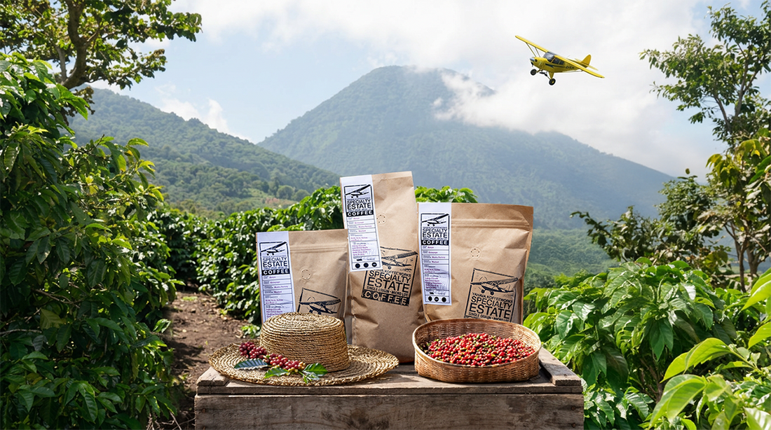 Bright, Floral, and Community-Grown: El Salvador’s Finca Majahual