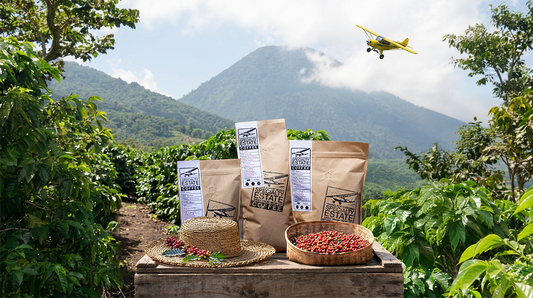 Bright, Floral, and Community-Grown: El Salvador’s Finca Majahual