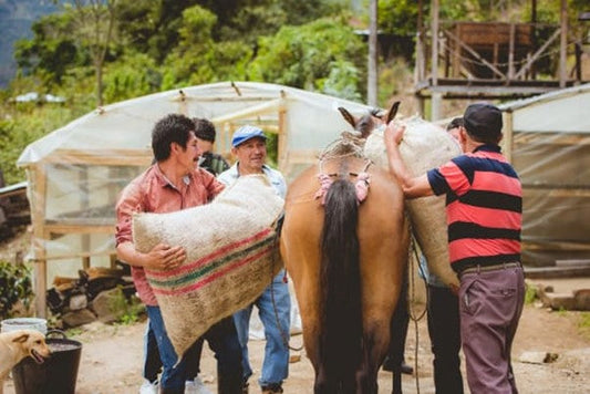 Tales of Origin: Colombia