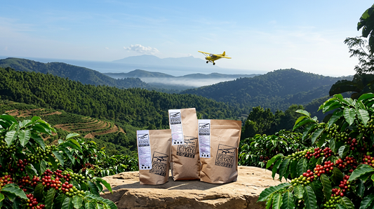 Strawberry, Citrus & Cacao: A Microlot from the Highlands of Timor-Leste