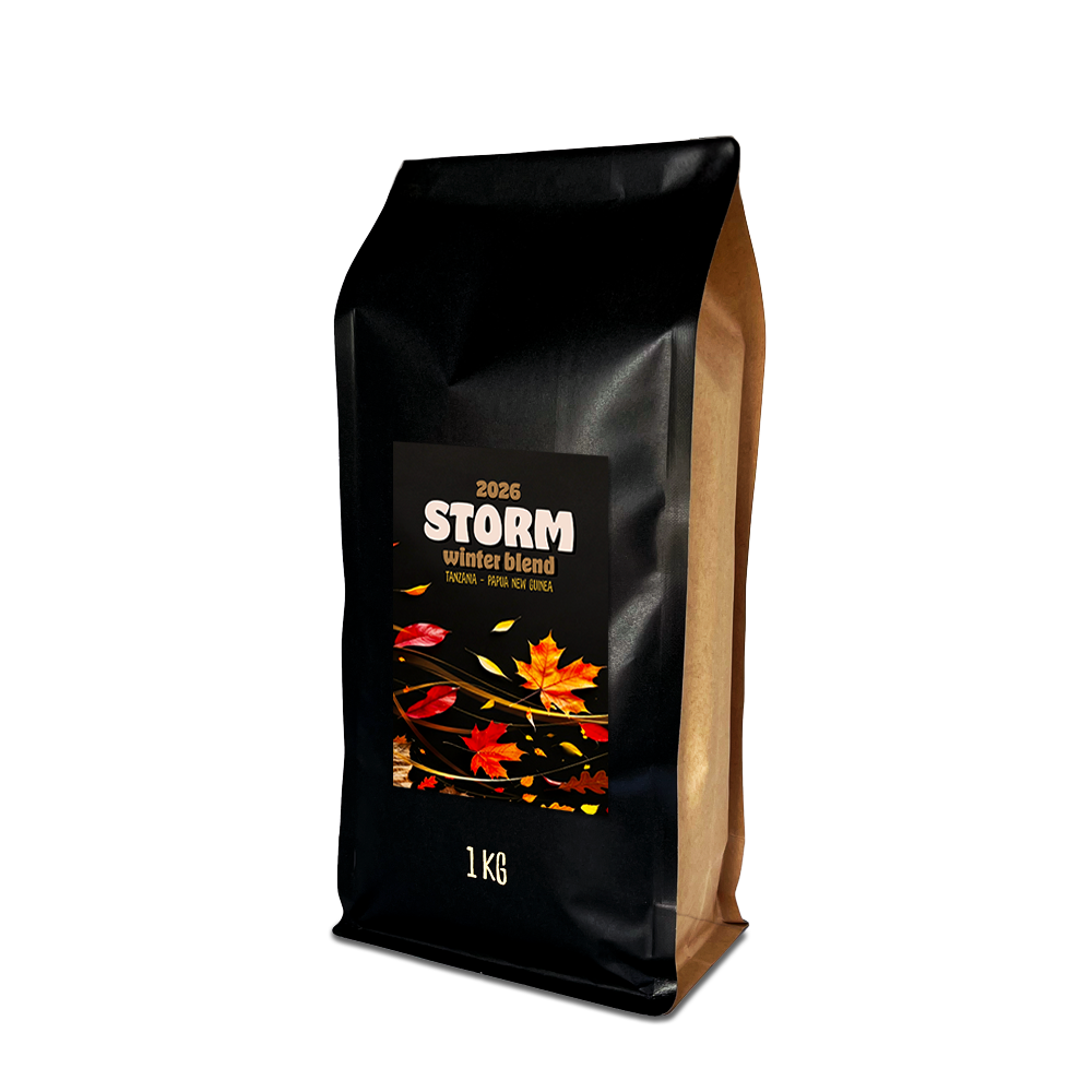 STORM 2026
